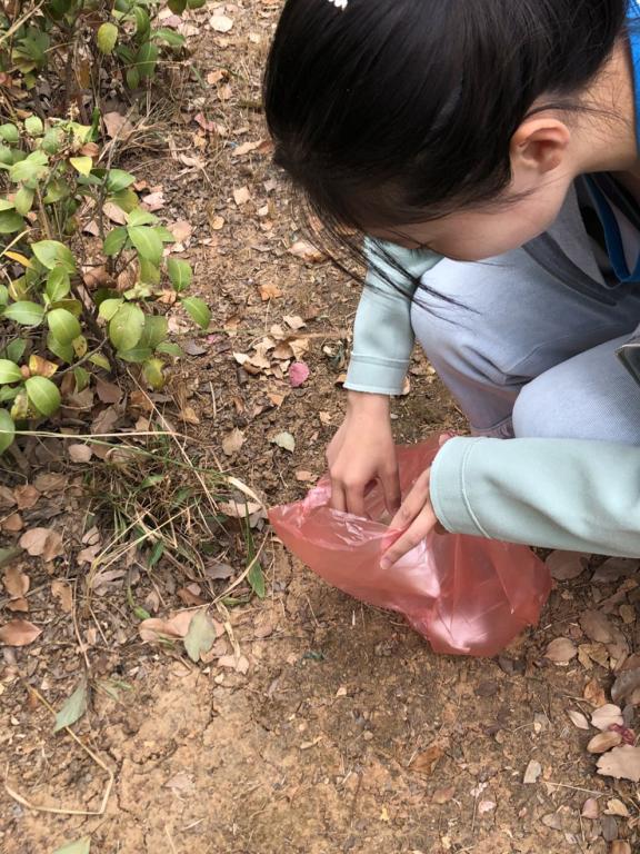 澳门挂牌论坛